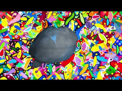 Arte Laguna Prize x TakT - Scientific Emotions live performance video at the Arsenale di Venezia