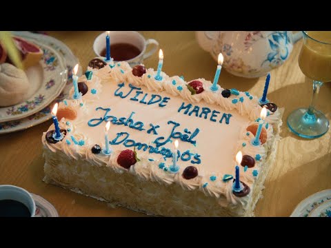 JASHA & Joël Domingos - Wilde Haren