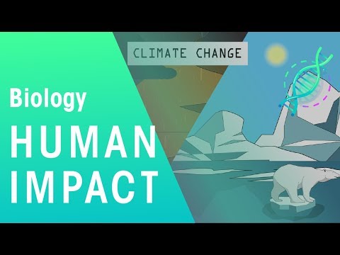 Human Impact on Ecosystems