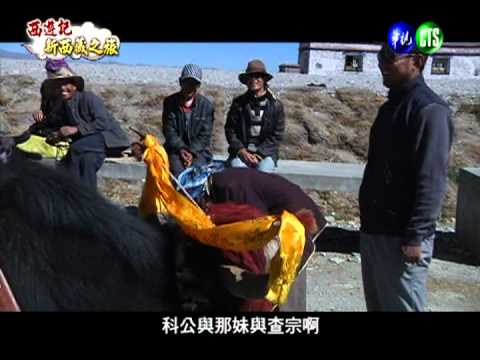 騎犛牛.遛獒犬 西藏之旅新體驗