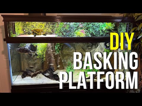 Start to Finish - DIY Above Tank Basking Platform for Pet Turtles - Canopy Style