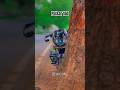 Pulsar 150 Modified Shorts Reels Shortvideo Short