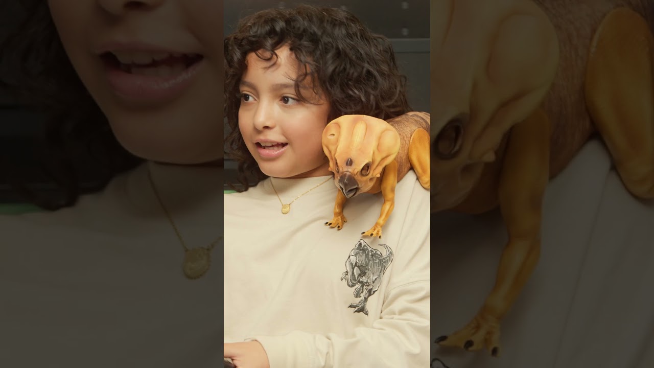 Chameleons: The Color Changing Descendants of Dinosaurs! | Jurassic World Rebirth Terrarium Takeover