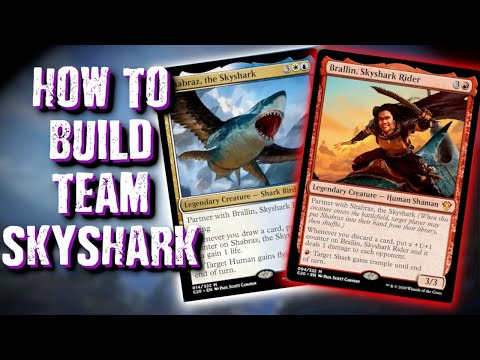 How To Build Team SkyShark: Brallin and Shabraz Build Guide - Combo and Aggro