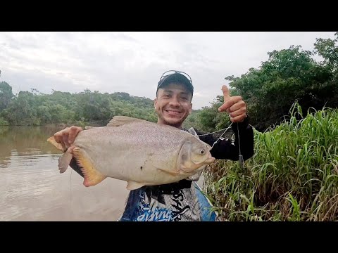 🎣Captura de camacha donde nace el río meta🔥#pesca #lineadepesca #parati #fishing #rios #cachama 
