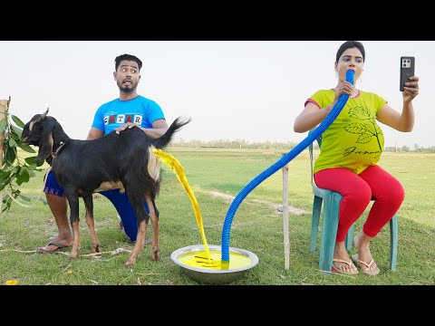 Must Watch New Special Comedy Video 2023 😎Totally Amazing Comedy  Episode 218