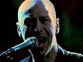 THE THE - GLOBAL EYES (live)