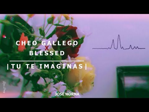 Tu Te Imaginas- Cheo Gallego X Blessed (LETRA)
