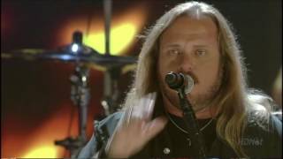 Lynyrd Skynyrd - Simple Life live