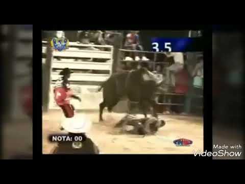 Touro Blindex. Cia Terremoto do Carlos Coelho.