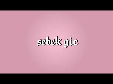 sebek gie - polsko silesia