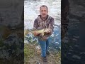 Video Thumbnail for Walleye On Dollarama Spoon.