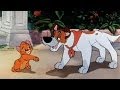 Oliver Company Why Should I Worry Reprise Icelandic