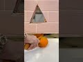 Everything Is CAKE
