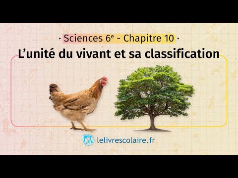 L’unité du vivant et sa classification (Sciences et Technologie 6e)