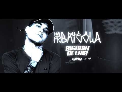 MC Brisola   Bigodin De Cria Lyric Video Jorgin Deejhay