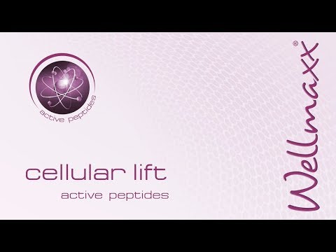 Kosmetik Pflegeserie made in Germany – WELLMAXX cellular lift active peptides