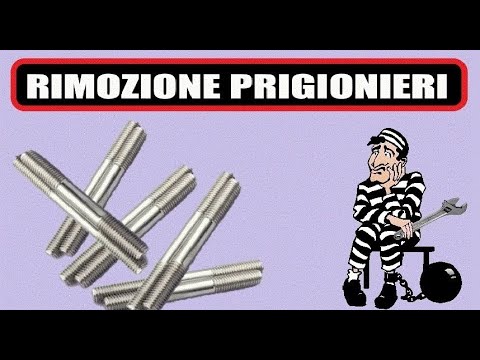 HOW TO REMOVE A PRISONER