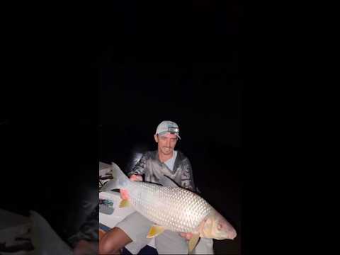 Pesca de Bogas en Ramallo, bs as.