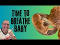 What Happen During A Baby S First Breath