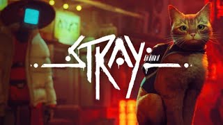 PS5よりテスト配信ﾈｺﾁｬﾝ②