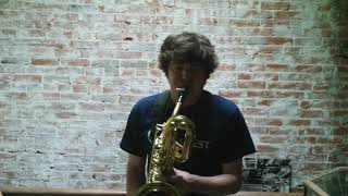 Video thumbnail for Yamaha YBS-61 'Purple Logo' Bari Sax - Serial # 3300 by SaxquestShop