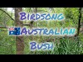 Birdsong In The Bush NSW Australia Real Nature Sounds Deep Relaxation Sleep Study Meditation