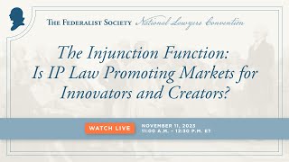 Click to play: The Injunction Function: Is IP Law Promoting Markets for Innovators and Creators?