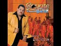 El coyote y su Banda ,atrapado