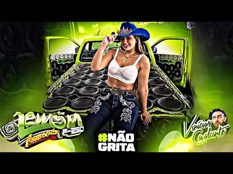 CD F250 LEMON ABELVOLKS SERTANEJO 2024 — DJ VINICIUS CAVALCANTE