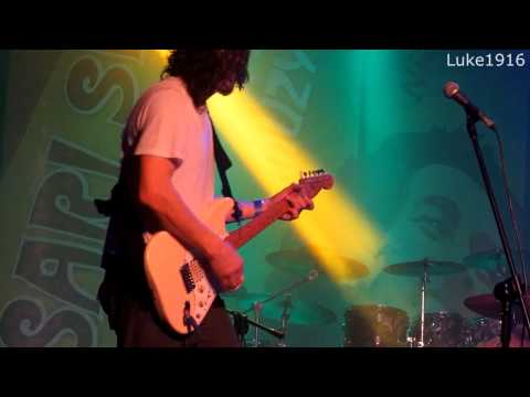 DZIOŁO - ZAMYŚLONE GŁOWY - ŻORY 10 XI 2014 [HD] SARI SKA FEST