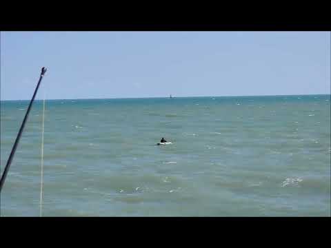 PT. 2 Returned to Bob Hall Pier 