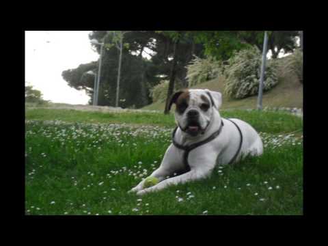 De espaldas al patriarcado.- Lola