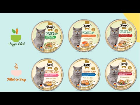 Burp Everyday Indulgence Cat Food 2021