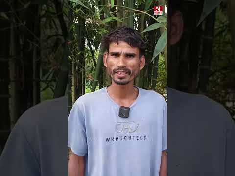 লালমনিরহাট সীমান্তে বিএসএফের পুশইন চেষ্টা ব্যর্থ, সতর্ক অবস্থানে বিজিবি