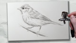 Paint an EASY AIRBRUSH Sketch (full tutorial)
