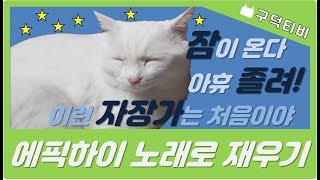 [구덕TV] 에픽하이(Lullaby for a cat)을 들은 고양이 / Cat listening to the &#39;Lullaby for a cat&#39;(Epik high)
