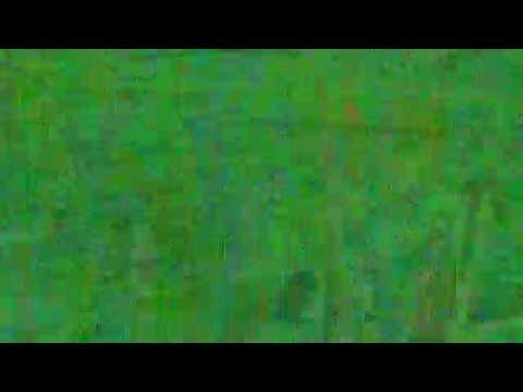 Rocca Industries LLC Plastic Mulch Lifter