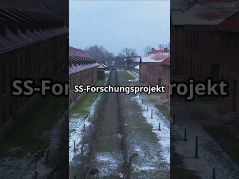 Was war die „Nazi-Glocke“? #hitler #haunebu #glocke #xerum525 #tesla #1940 #germany #technology