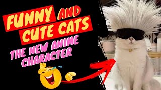 SUPER SHORTS 13 - FUNNY CATS AND CUTE