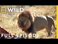 Reign Of Terror Full Episode Savage Kingdom