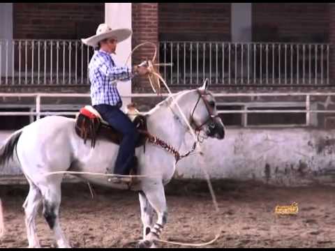 Jose Andres Aceves Aceves Tricampeon Nacional Charro Completo