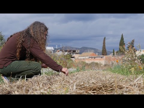 Permacultura Huerta-Jardín del Boticario (Valencia)