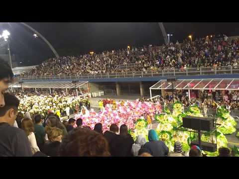 Bateria - 2018 - Tom Maior - Desfile das Campeãs SP