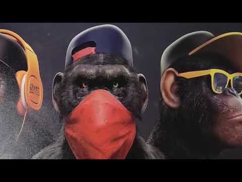 BandoBee x BoomDaDon x Colby45k - Kartel Living