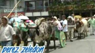 preview picture of video 'Desfile 15 de Mayo  2008, Día de San Isidro Labrador - Pte 2'