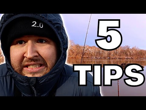 How to Catch Winter Catfish from Shore (Easy Guide)