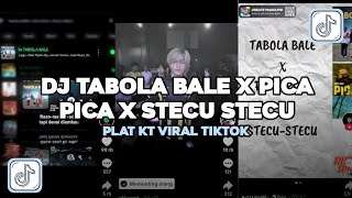 Download lagu DJ TABOLA BALE X PICA PICA X STECU STECU PLAT KT VIRAL TIKTOK  mp3