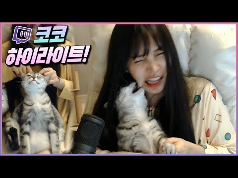 아이콘