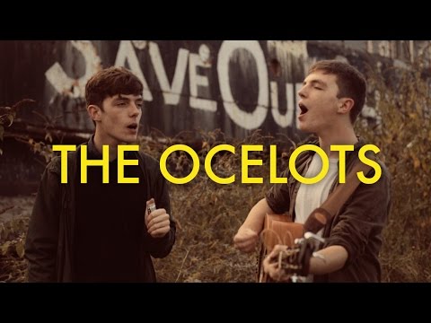 The Ocelots - Can't Even Say Your Name